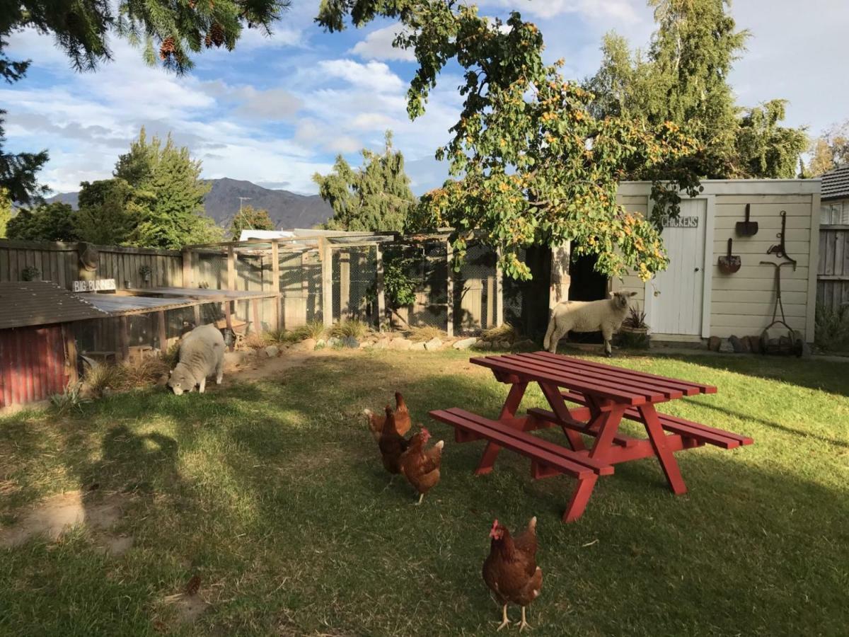 Tailor Made Tekapo Accommodation - Hostel Лейк-Текапо Экстерьер фото