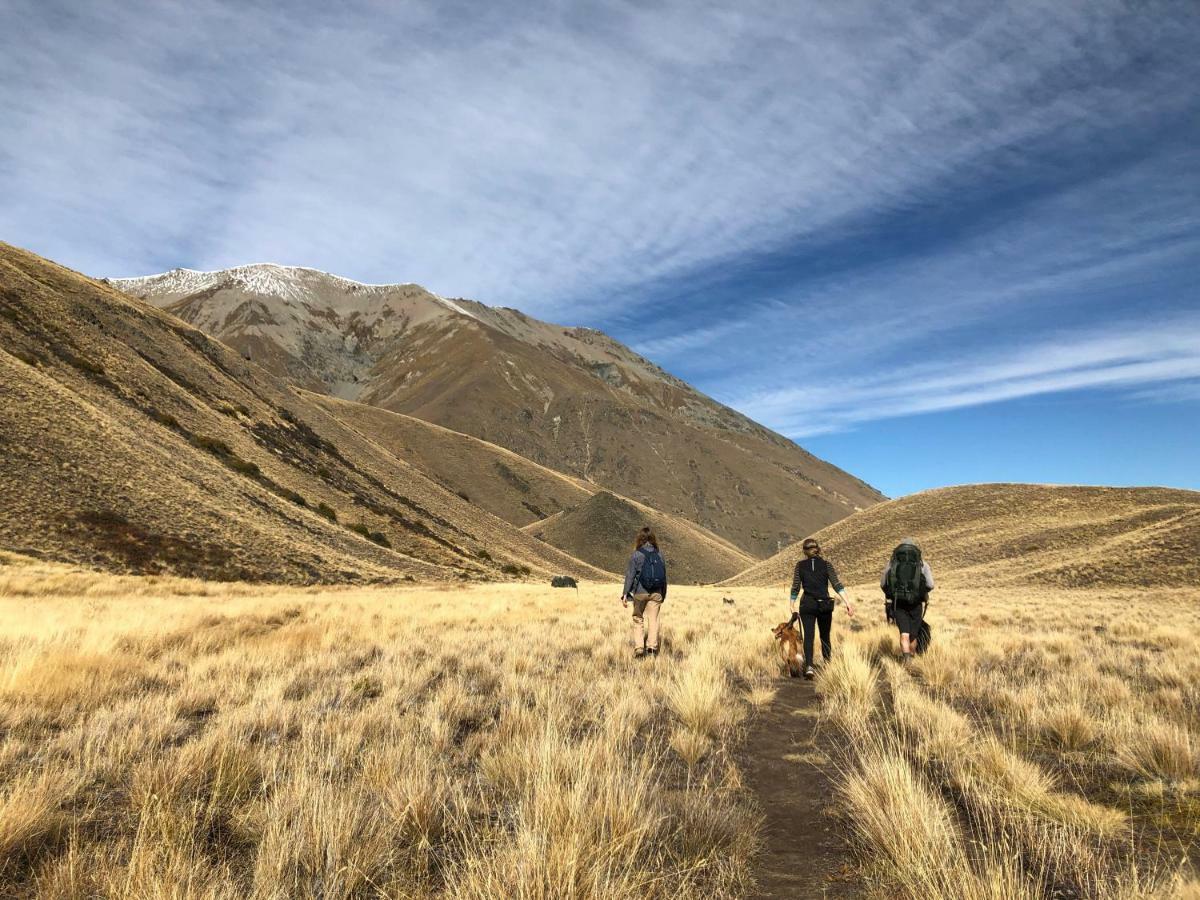 Tailor Made Tekapo Accommodation - Hostel Лейк-Текапо Экстерьер фото